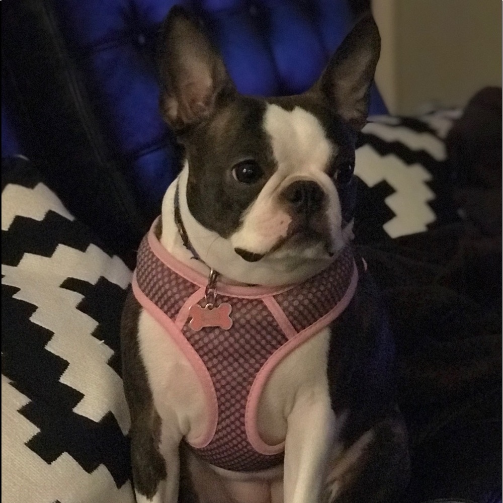 Meet your Posher, Newmoonwishes